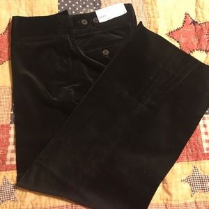 Ann Taylor Loft Pants